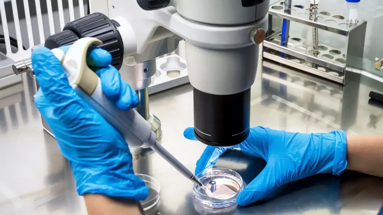 First case of hantavirus diagnosed in Israeli after visit to Eastern Europe
